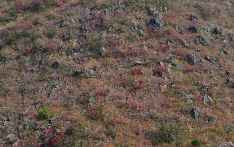20140102202354.jpg