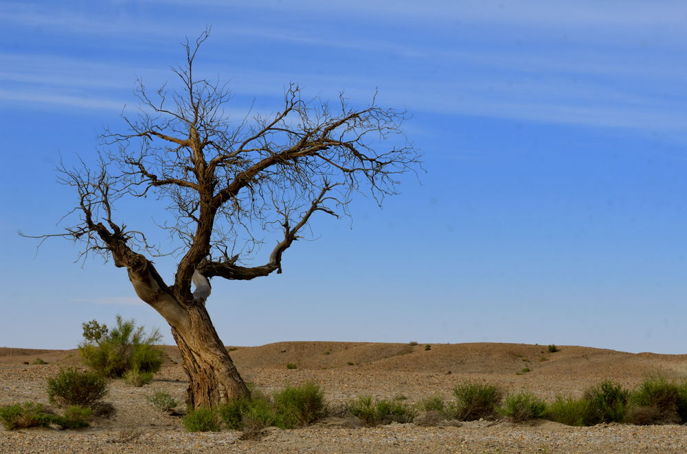 dsc_7434.jpg