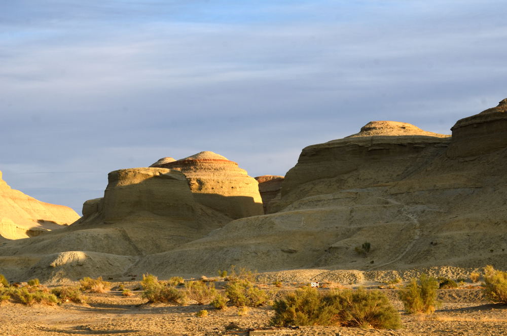 dsc_7496.jpg