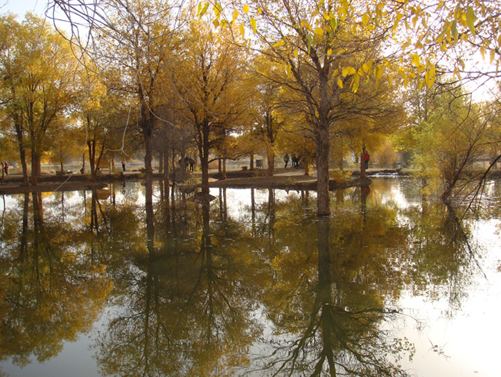 dsc08336_.jpg