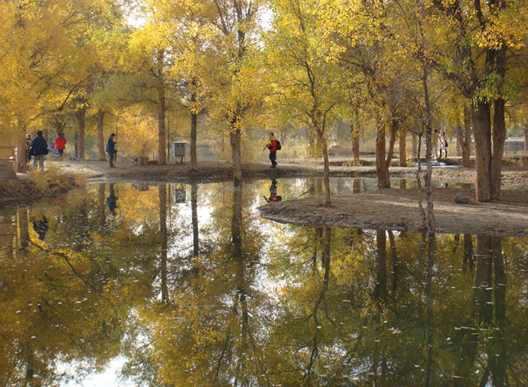 dsc08356_.jpg