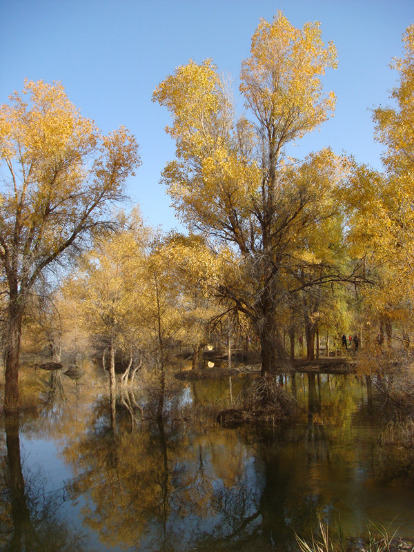 dsc08429_.jpg