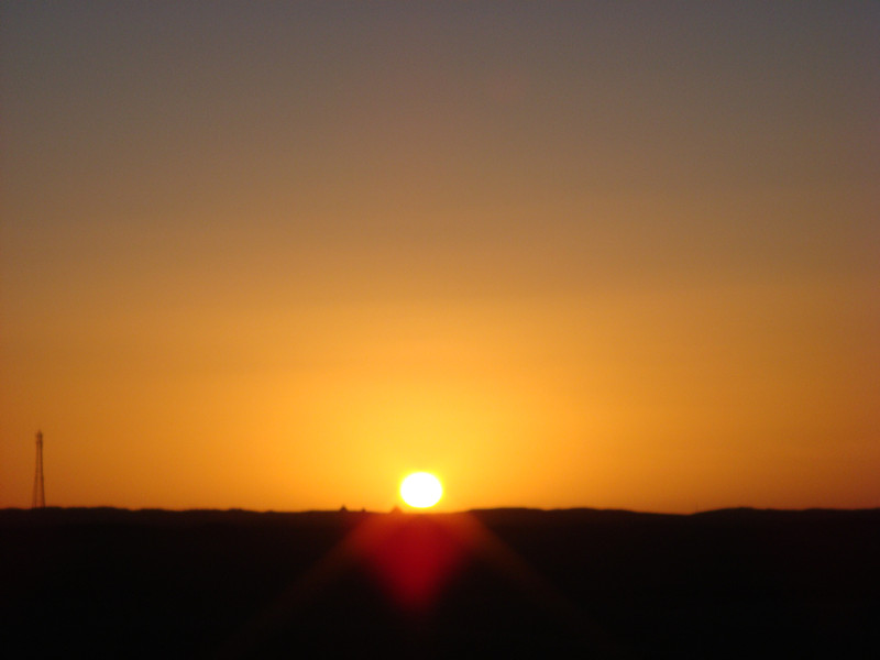 dsc08605_.jpg