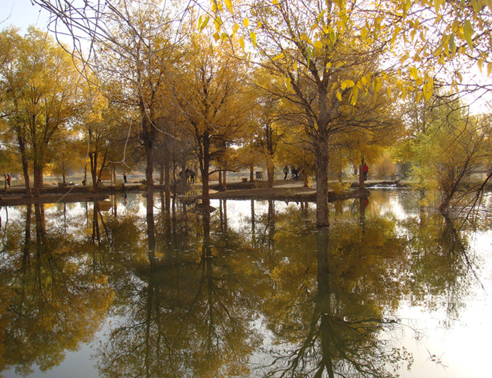 dsc08336_.jpg