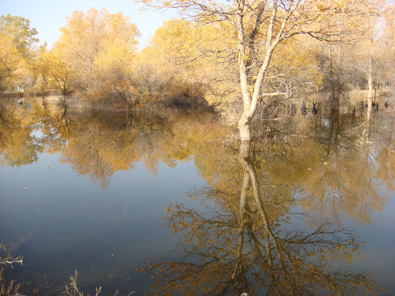 dsc08377_.jpg