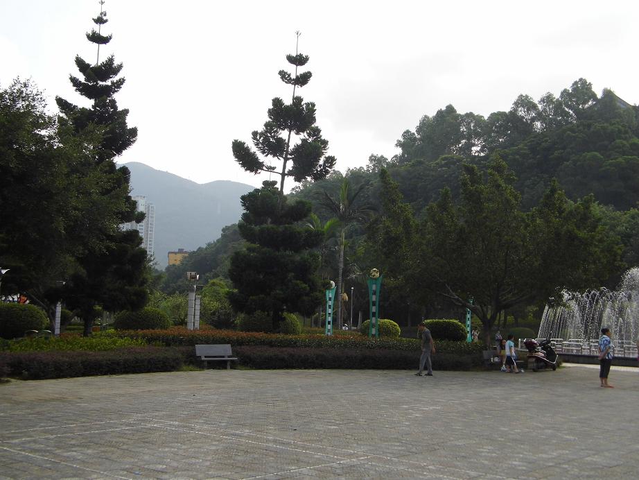 dsci2870.jpg