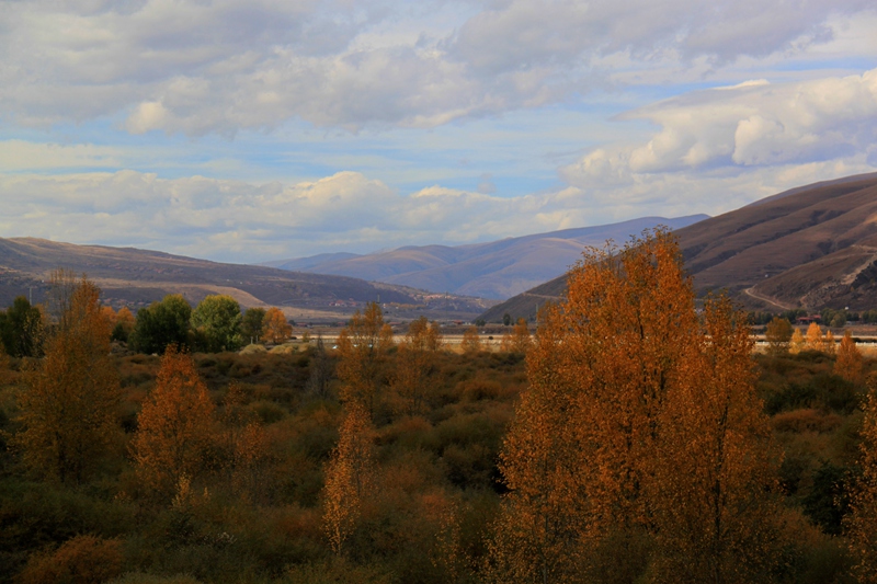 img_5956_.jpg