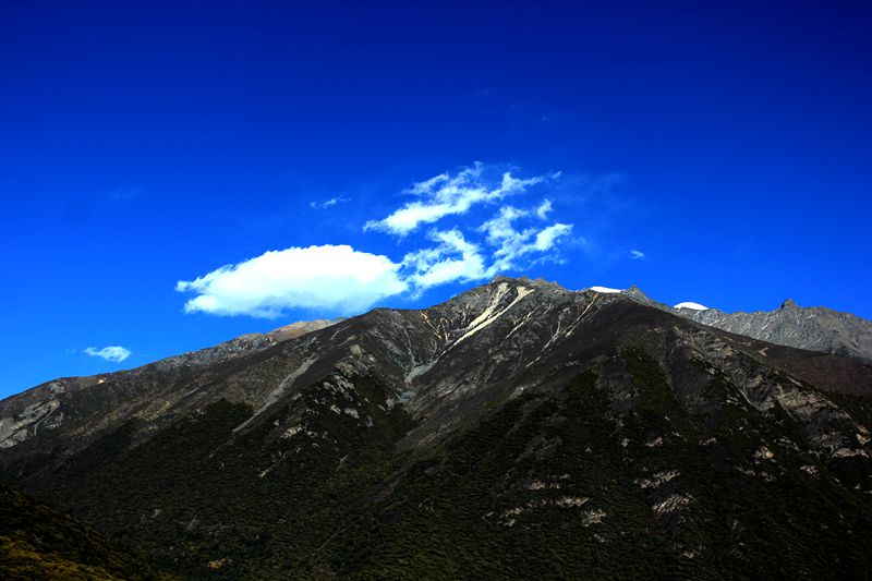 img_8850.jpg