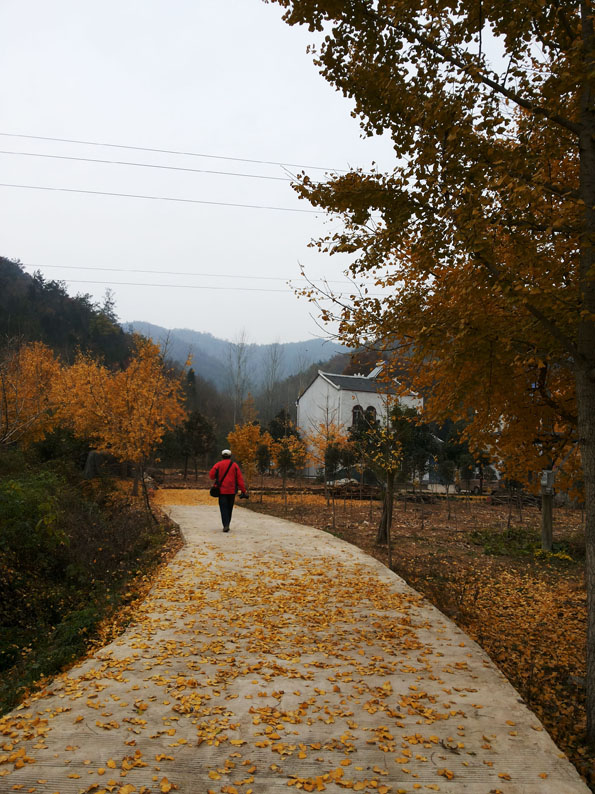 2014-11-22_10-29-54_814111_org(1).jpg