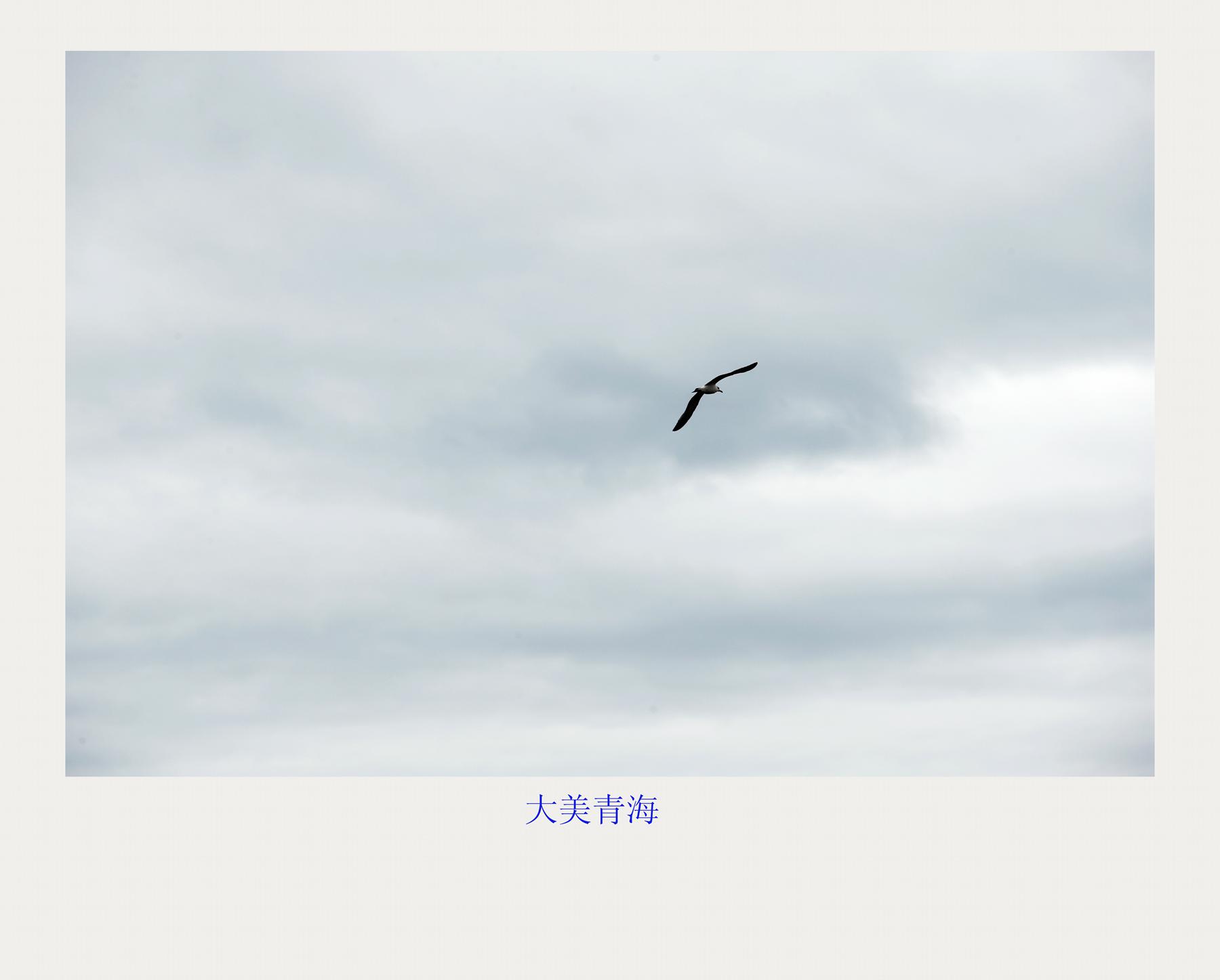 bw3p6551_.jpg
