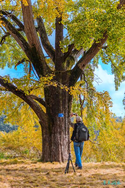 _mg_0547.jpg