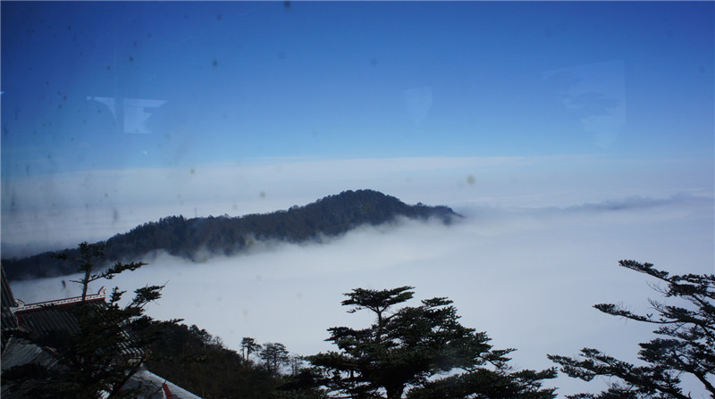 dsc06278.jpg