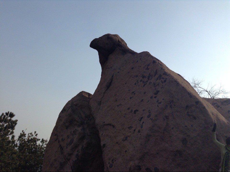 201312301551379219.jpg
