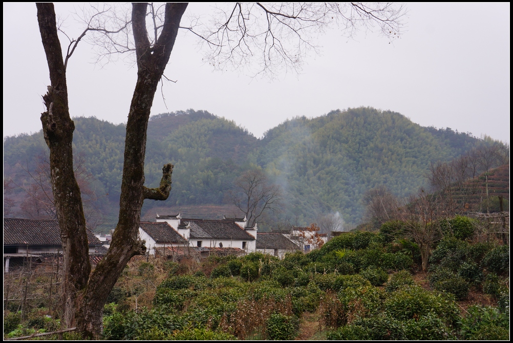 簲ʯ35.jpg