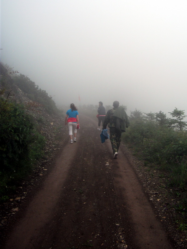 dscf0347.jpg