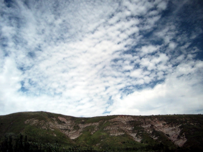 dscf0448.jpg