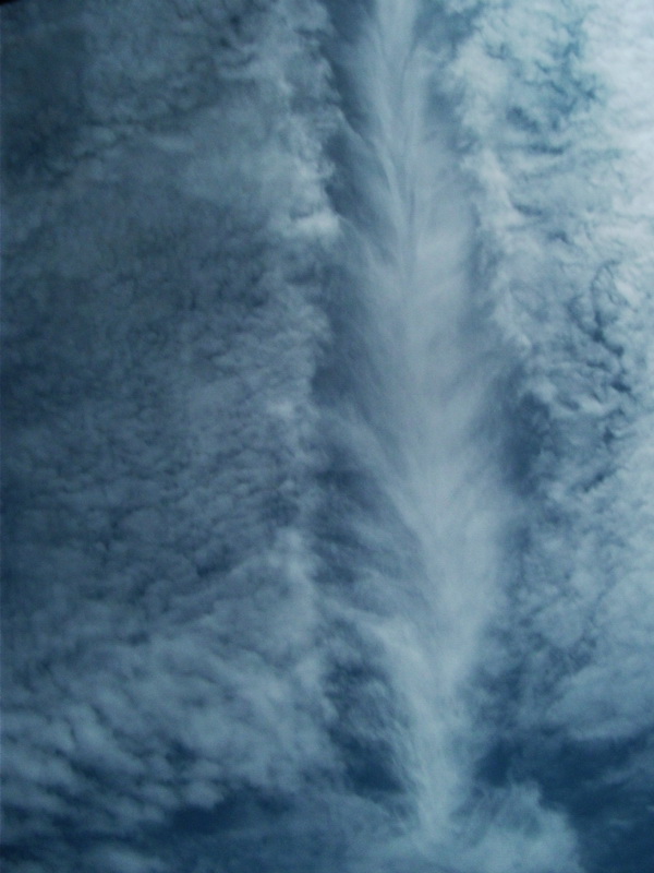 dscf0449.jpg