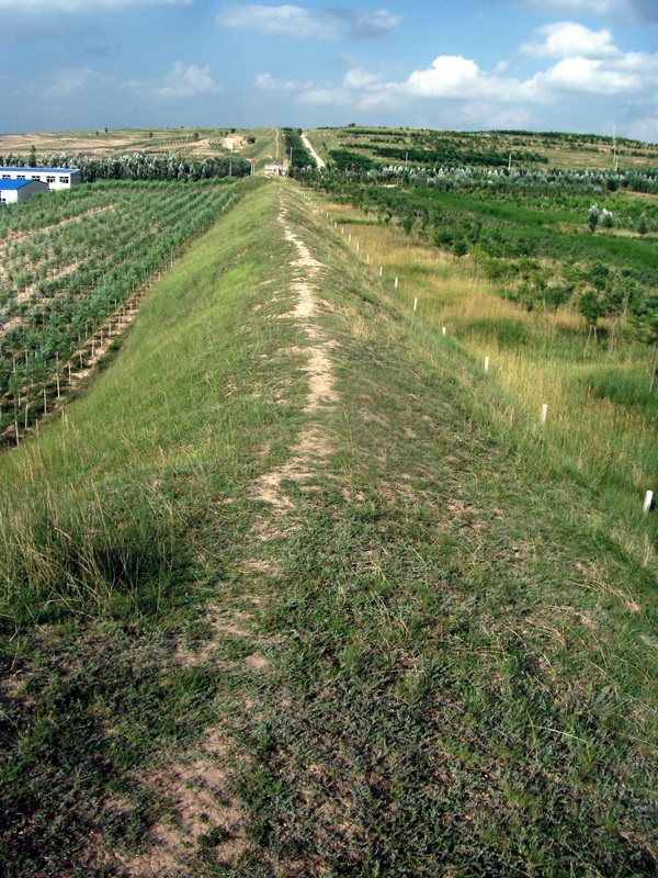 dscf0490.jpg