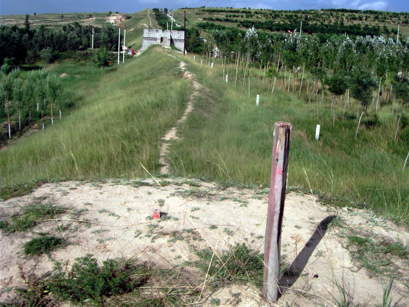 dscf0491.jpg