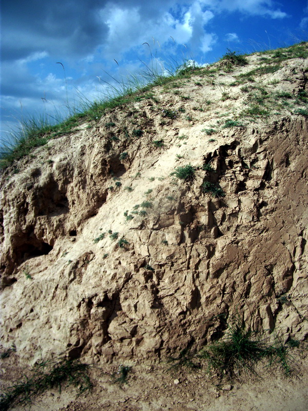 dscf0500.jpg