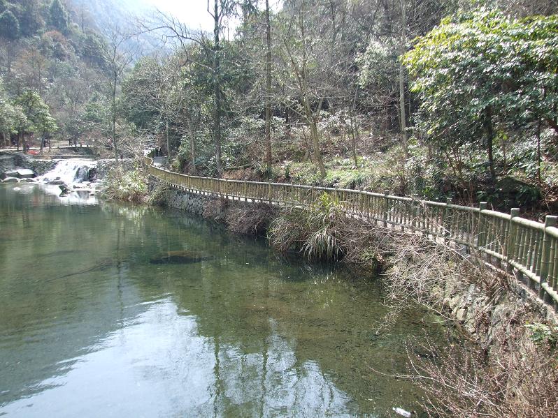 dscf0771.jpg
