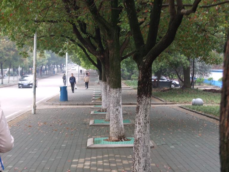 dscf0938.jpg