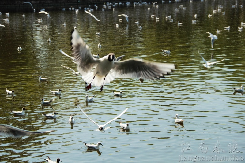 neo_img_img_3551.jpg
