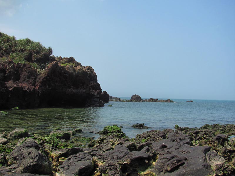 img_000001.jpg
