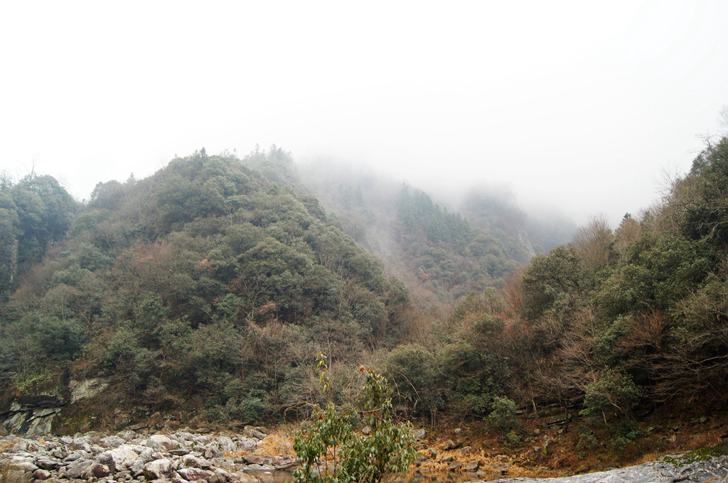 dsc09466__.jpg