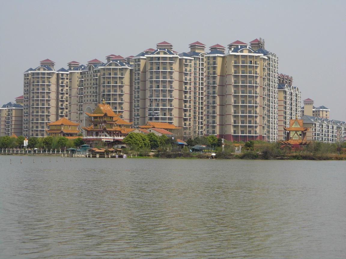 dsci1060.jpg