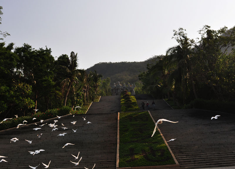dsc_100035.jpg