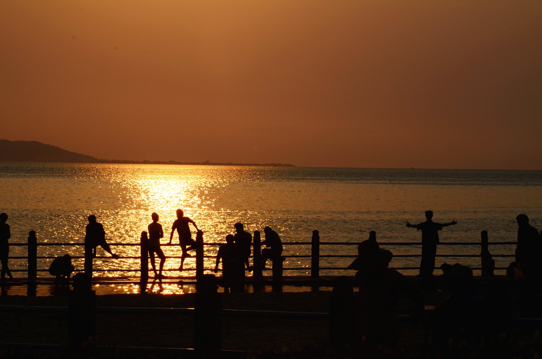 dsc_0667__.jpg