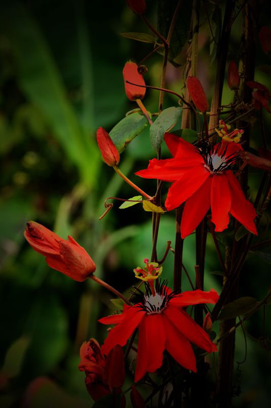 dsc_0959_.jpg