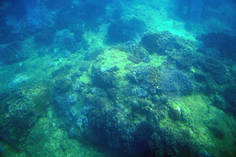 dsc_0644__.jpg