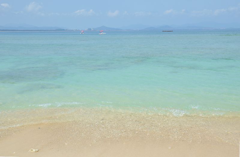 dsc_0738_.jpg