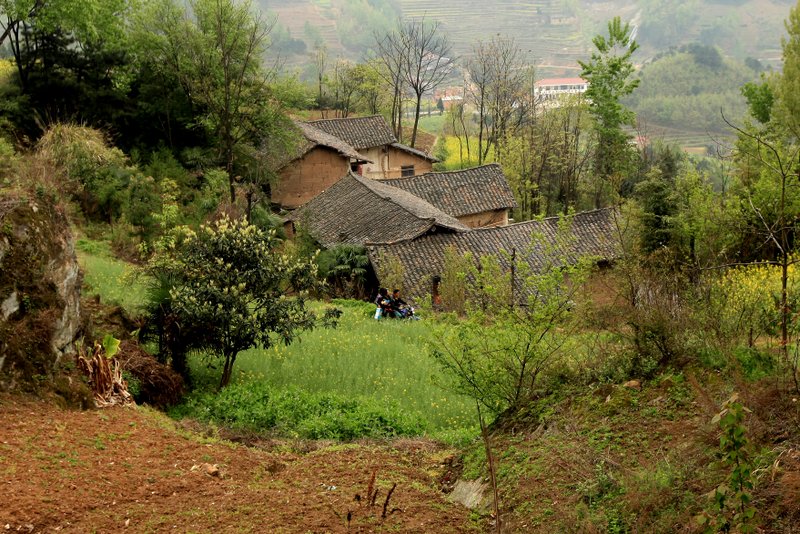 11-1-img_0819.jpg
