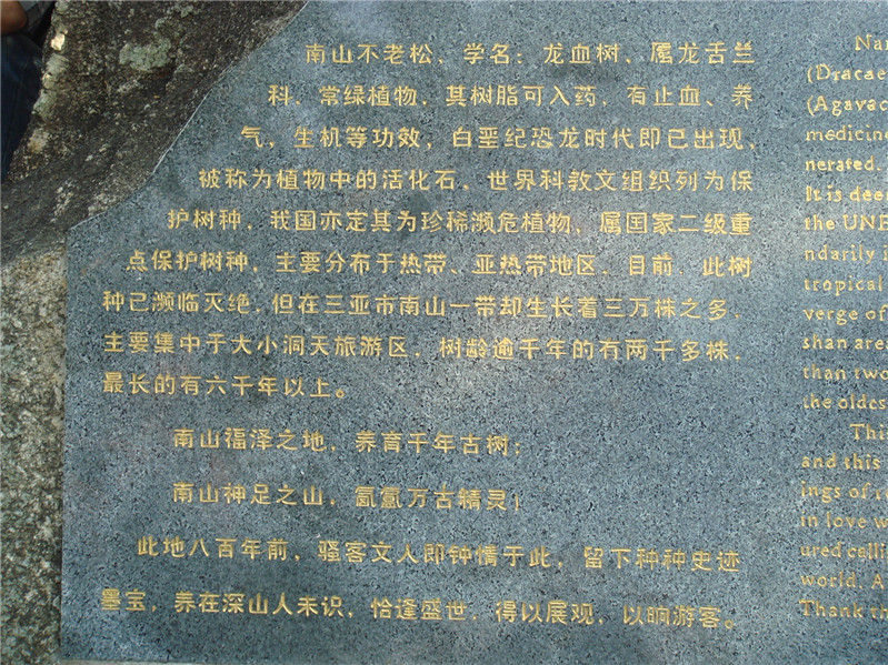 dsc07315.jpg