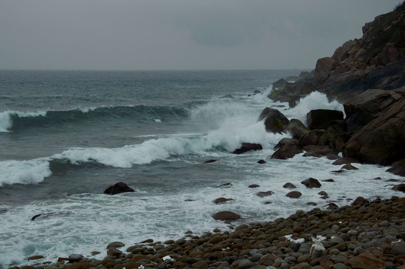 dsc_0109_.jpg