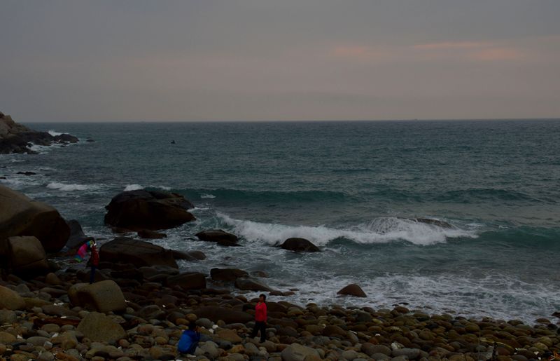 dsc_0223_.jpg