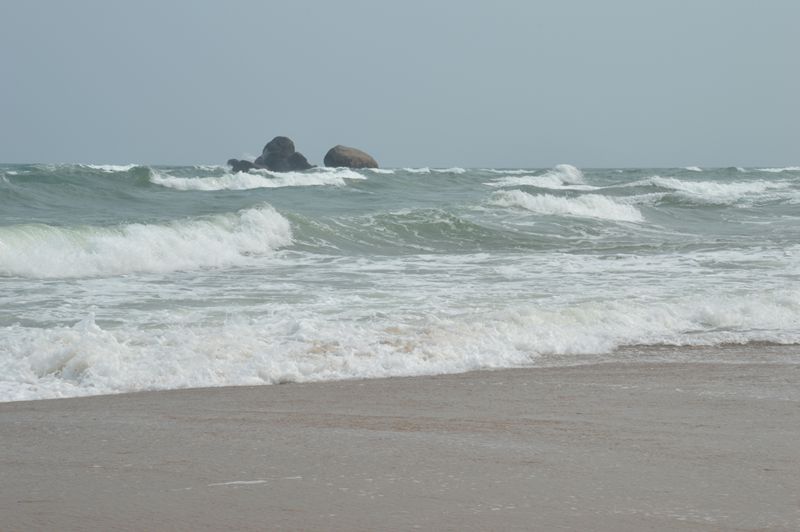dsc_0380_.jpg