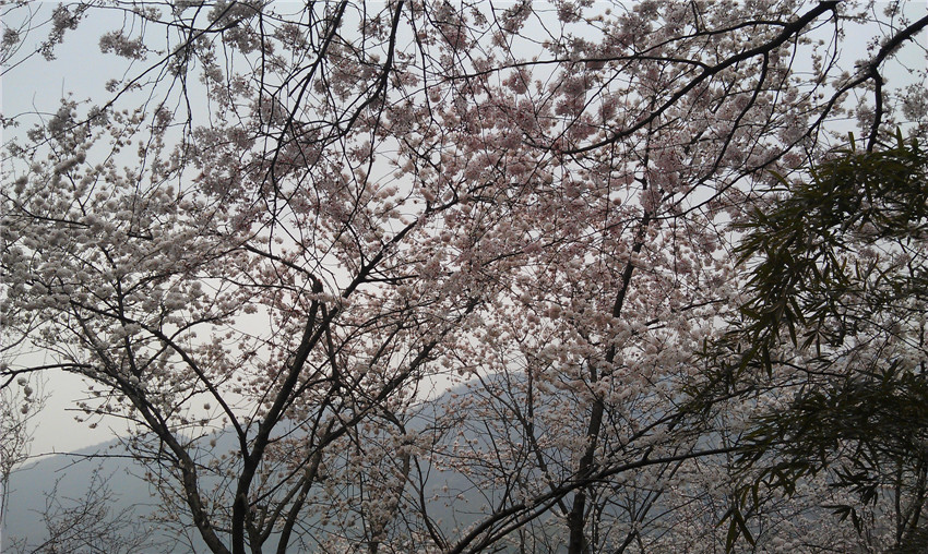 imag1596_.jpg