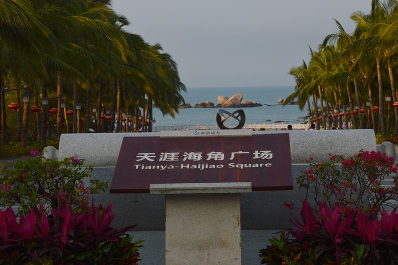 dsc_0770_.jpg