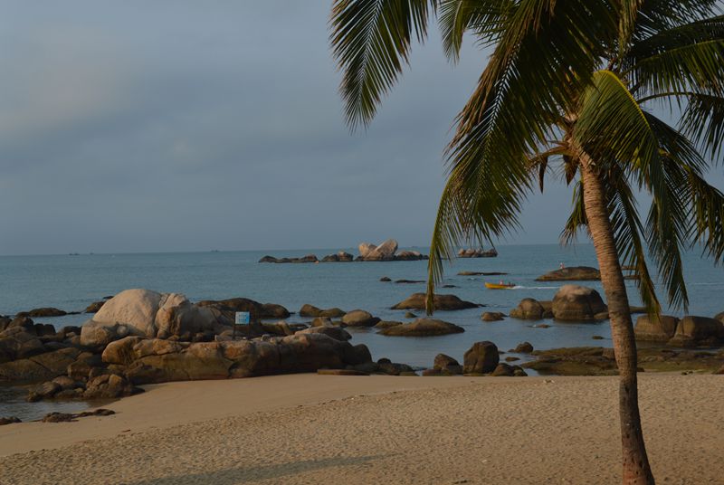 dsc_0788_.jpg