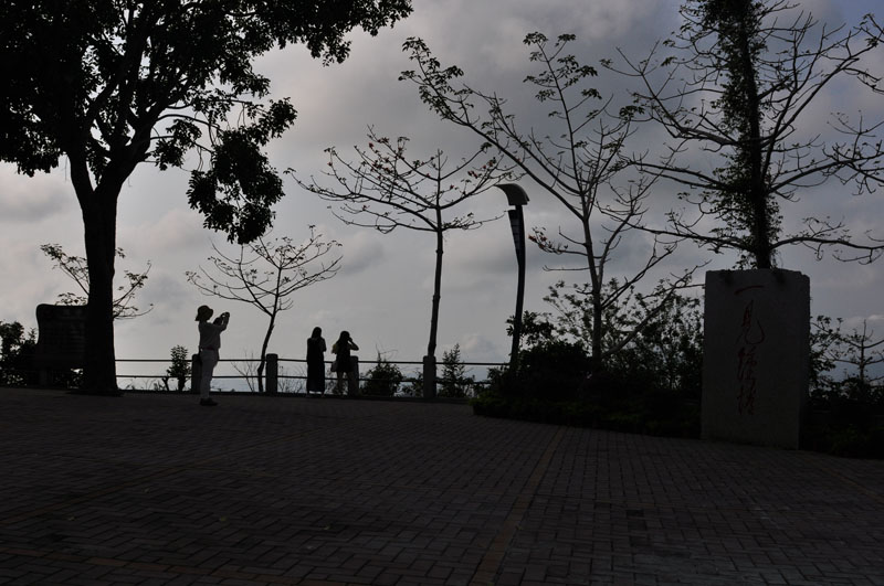 dsc_100062.jpg