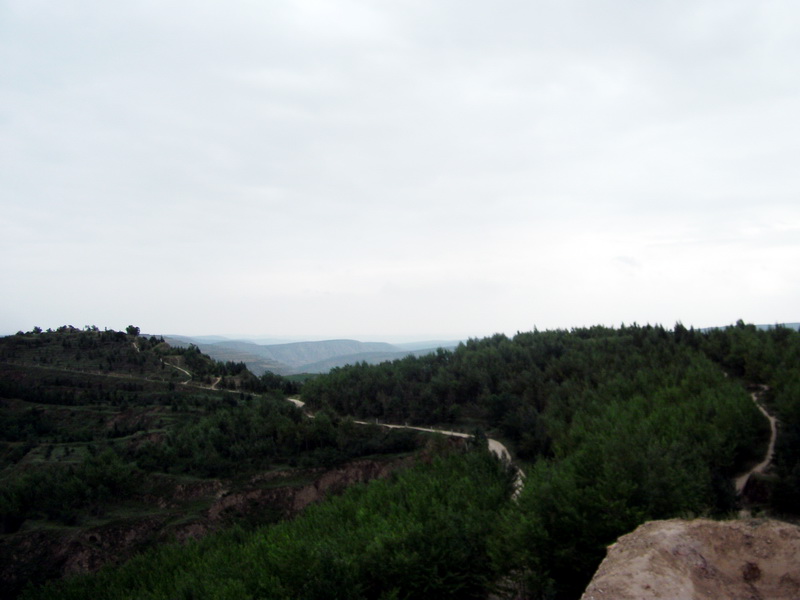 dscf0612.jpg
