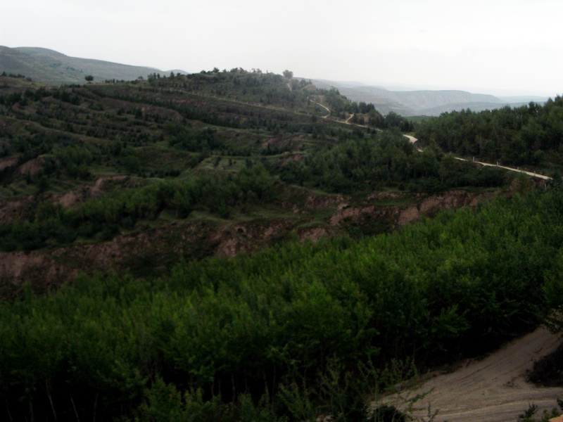 dscf0616.jpg