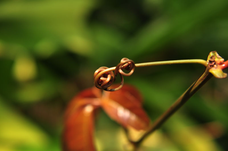 dsc_100071.jpg