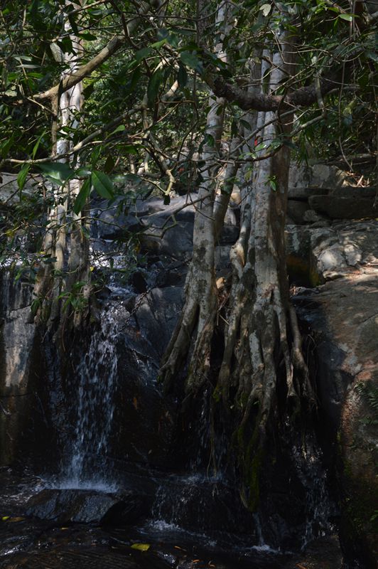 dsc_0013_.jpg