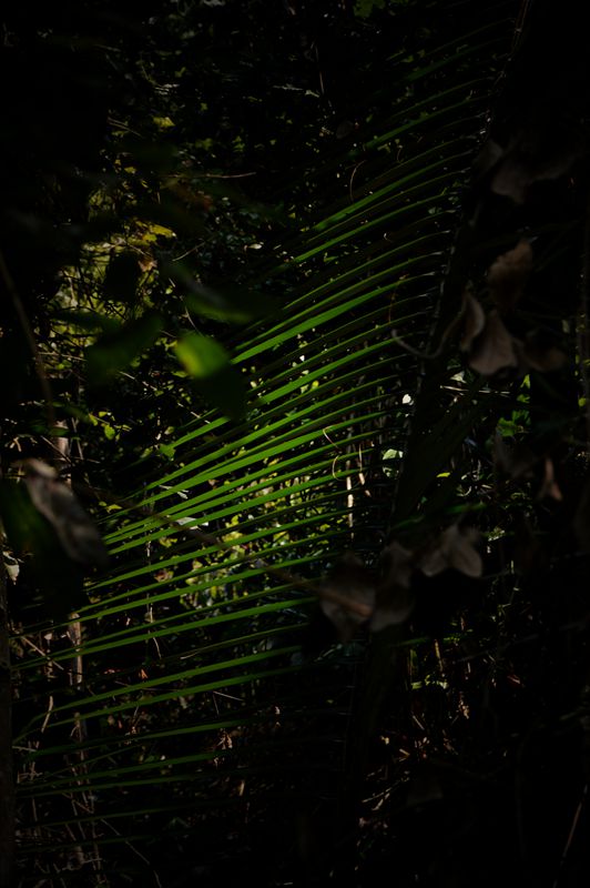 dsc_0064_.jpg
