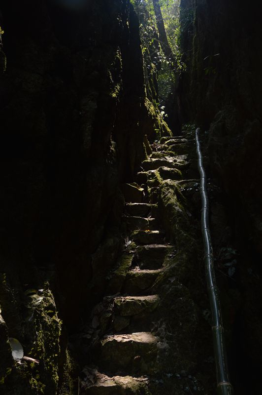 dsc_0489_.jpg